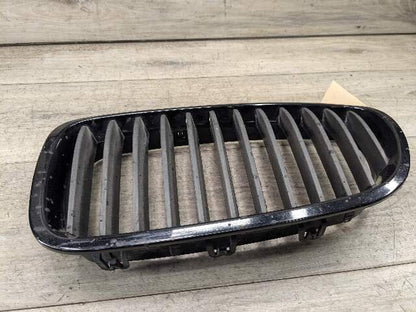 11-13 OEM BMW F10 528 535 550 Front Bumper Grille Insert