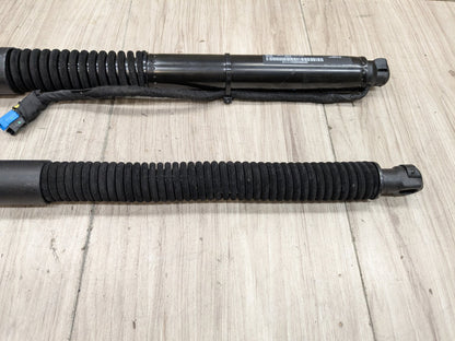 18-24 OEM BMW G01 F97 X3 X3M Rear Left Right Liftgate Shock Strut Lift Supports