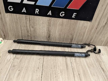 OEM BMW F48 X1 Rear Left Right Trunk Liftgate Shock Hatch Strut Supports SET