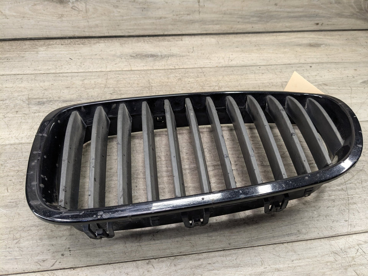 11-13 OEM BMW F10 528 535 550 Front Bumper Grille Insert