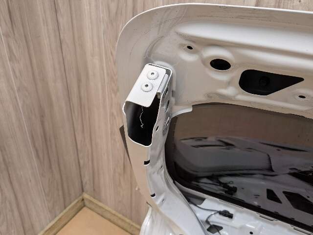 OEM BMW F97 G01 X3 X3M Rear Liftgate Tailgate Trunk Lid Door Shell White 300