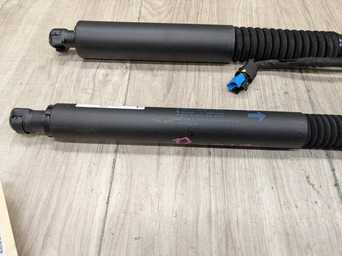 18-24 OEM BMW G01 F97 X3 X3M Rear Left Right Liftgate Shock Strut Lift Supports