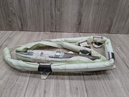 OEM BMW F30 F36 F80 M3 328 335 435 Left Driver Roof Head Curtain Air Bag Airbag