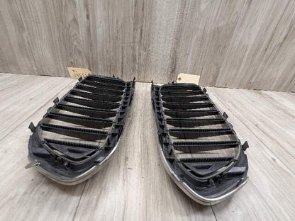 17-20 OEM BMW Front Left Right Bumper Kidney Grille SET