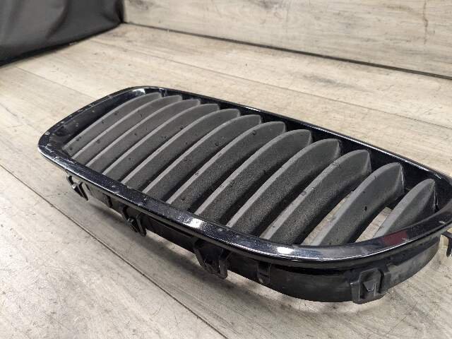 11-13 OEM BMW F10 528 535 550 Front Bumper Grille Insert