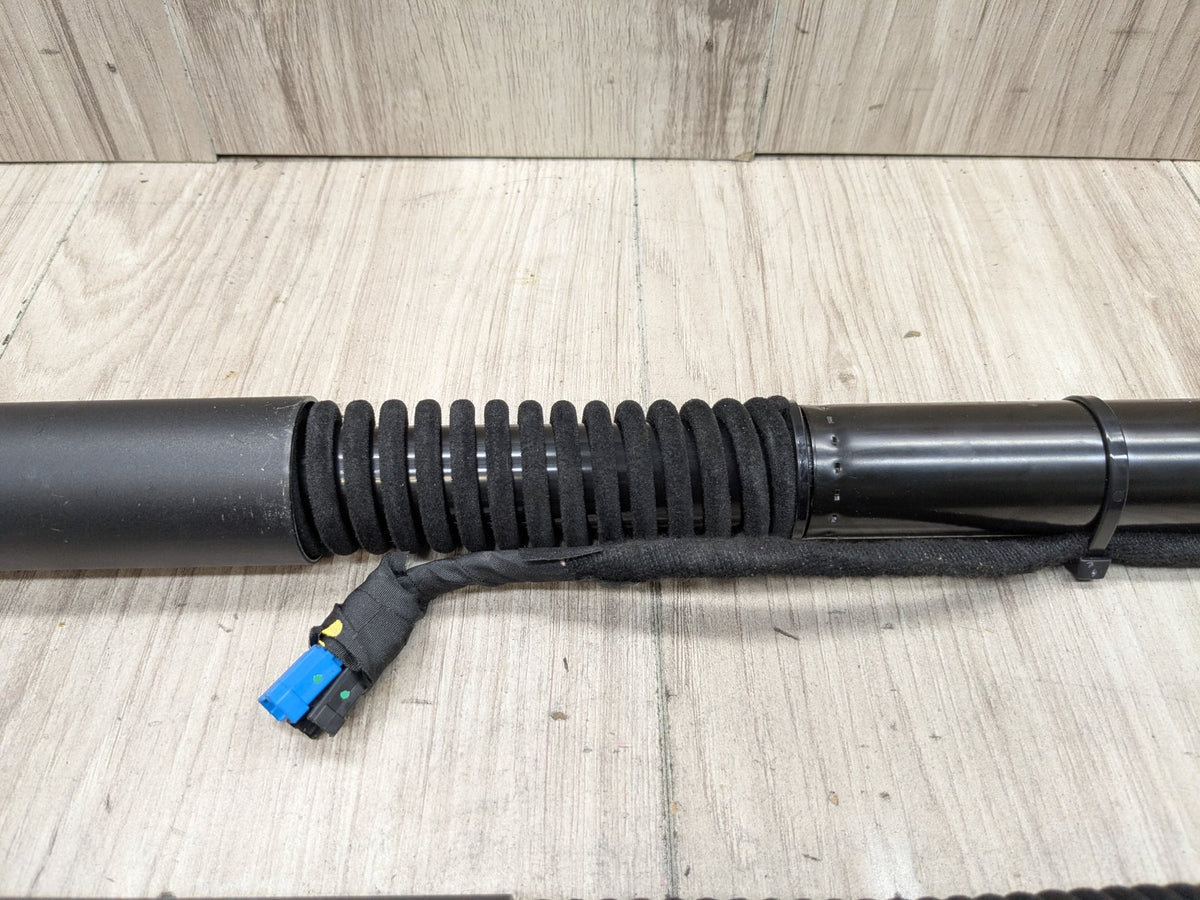 18-24 OEM BMW G01 F97 X3 X3M Rear Left Right Liftgate Shock Strut Lift Supports
