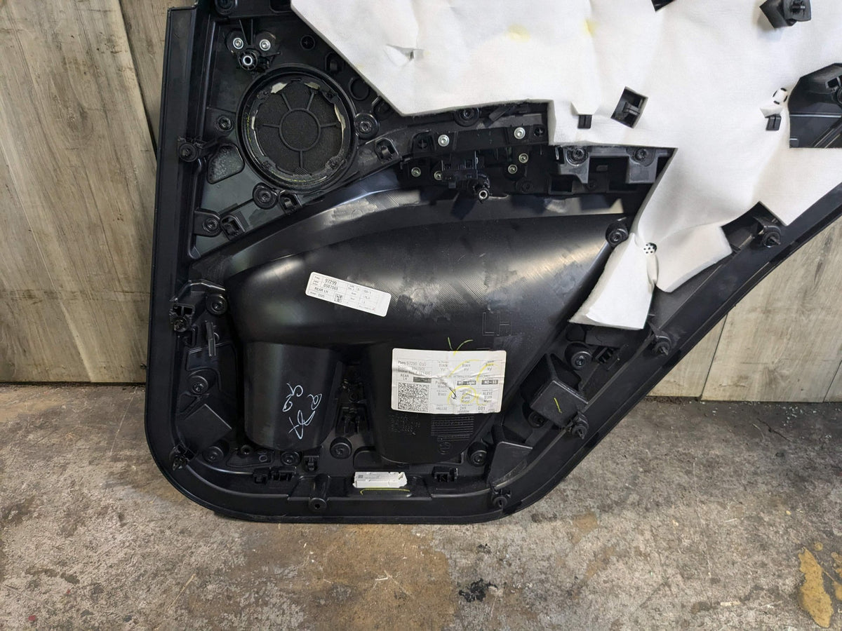 2020 BMW X3 G01- Rear Left Driver Interior Door Panel Card