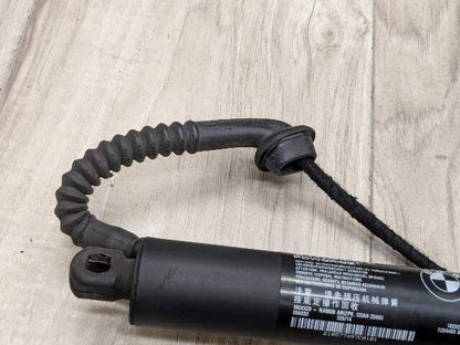 OEM BMW F15 F85 X5 X5M REAR Left Right Trunk Tailgate Shock Hatch Strut PAIR