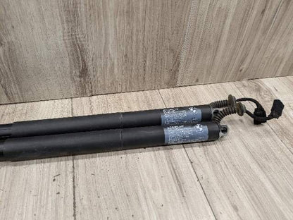OEM BMW F48 X1 Rear Left Right Trunk Liftgate Shock Hatch Strut Supports SET
