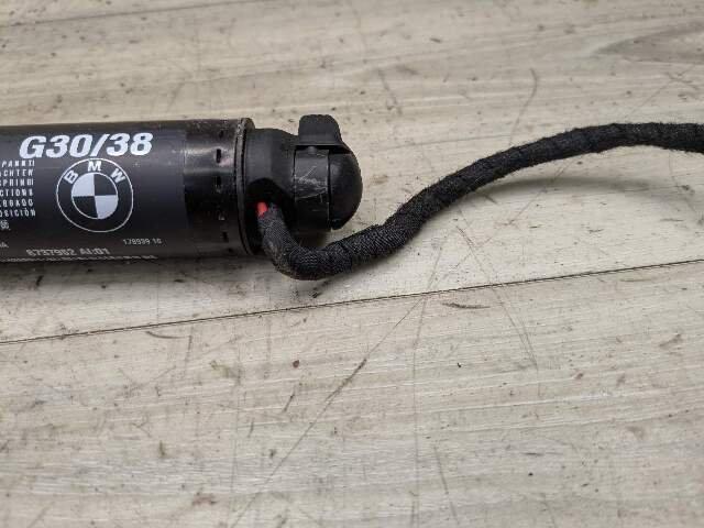 2017 - 2023 BMW M550i G30 Rear Left Right Liftgate Trunk Lid Strut Shock Supports SET 8737952 N63B44O2