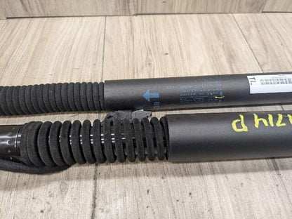 18-24 OEM BMW G01 F97 X3 X3M Rear Left Right Liftgate Shock Strut Lift Supports