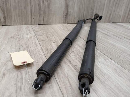 OEM BMW F48 X1 Rear Left Right Trunk Liftgate Shock Hatch Strut Supports SET