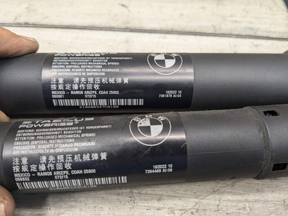 OEM BMW F15 F85 X5 X5M REAR Left Right Trunk Tailgate Shock Hatch Strut PAIR