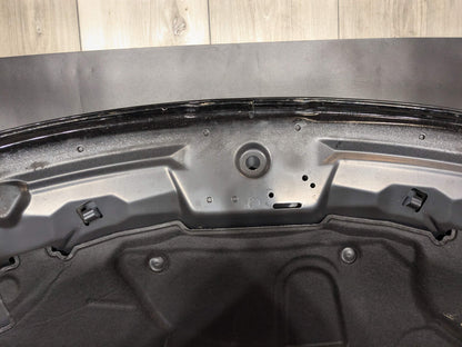 22013 BMW Z4 Z4 E89- Hood Bonnet Shell Panel