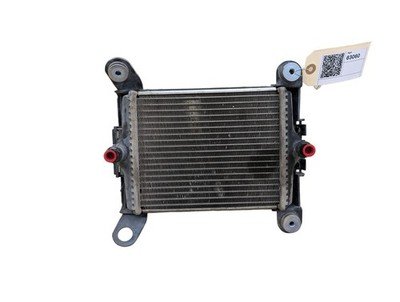 OEM BMW F22 F23 F30 F32 F33 F36 335 440 Engine Oil Auxiliary Secondary Radiator