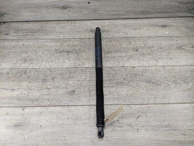 19-24 OEM BMW G01 X3 30 M40 Rear Left Right Trunk Tailgate Shock Hatch Strut