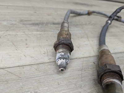 OEM BMW F10 F15 F22 F30 F32 F36 Cat Catalytic Oxygen o2 Lambda Probe Sensors N55