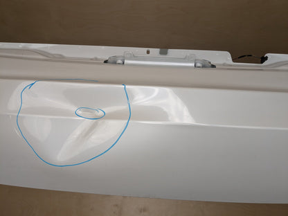 19-25 OEM BMW G05 G07 X5 X7 Rear Lower Trunk Tailgate Door Panel Deck Lid White