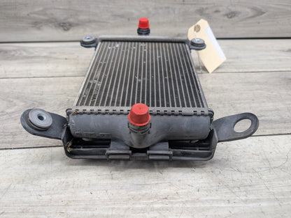 OEM BMW F22 F23 F30 F32 F33 F36 335 440 Engine Oil Auxiliary Secondary Radiator