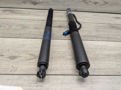 2018 - 2023 BMW X3 G01 Rear Left Right Liftgate Trunk Lid Strut Shock Supports SET 7397319 B58B30M0