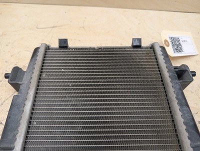 OEM BMW G20 G22 G23 G26 M340 M440 Secondary Auxiliary Coolant Remote Radiator