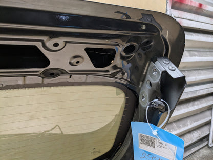 18-24 BMW F97 G01 X3 X3M Rear Liftgate Tailgate Trunk Lid OEM Shell