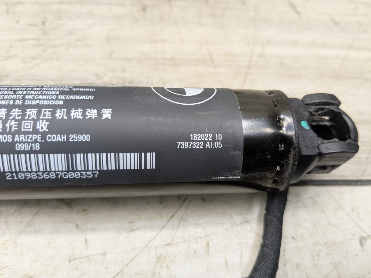 2018-2023 BMW X3 G01 Rear Left Right Liftgate Trunk Lid Strut Shock Supports SET 7397319 OEM
