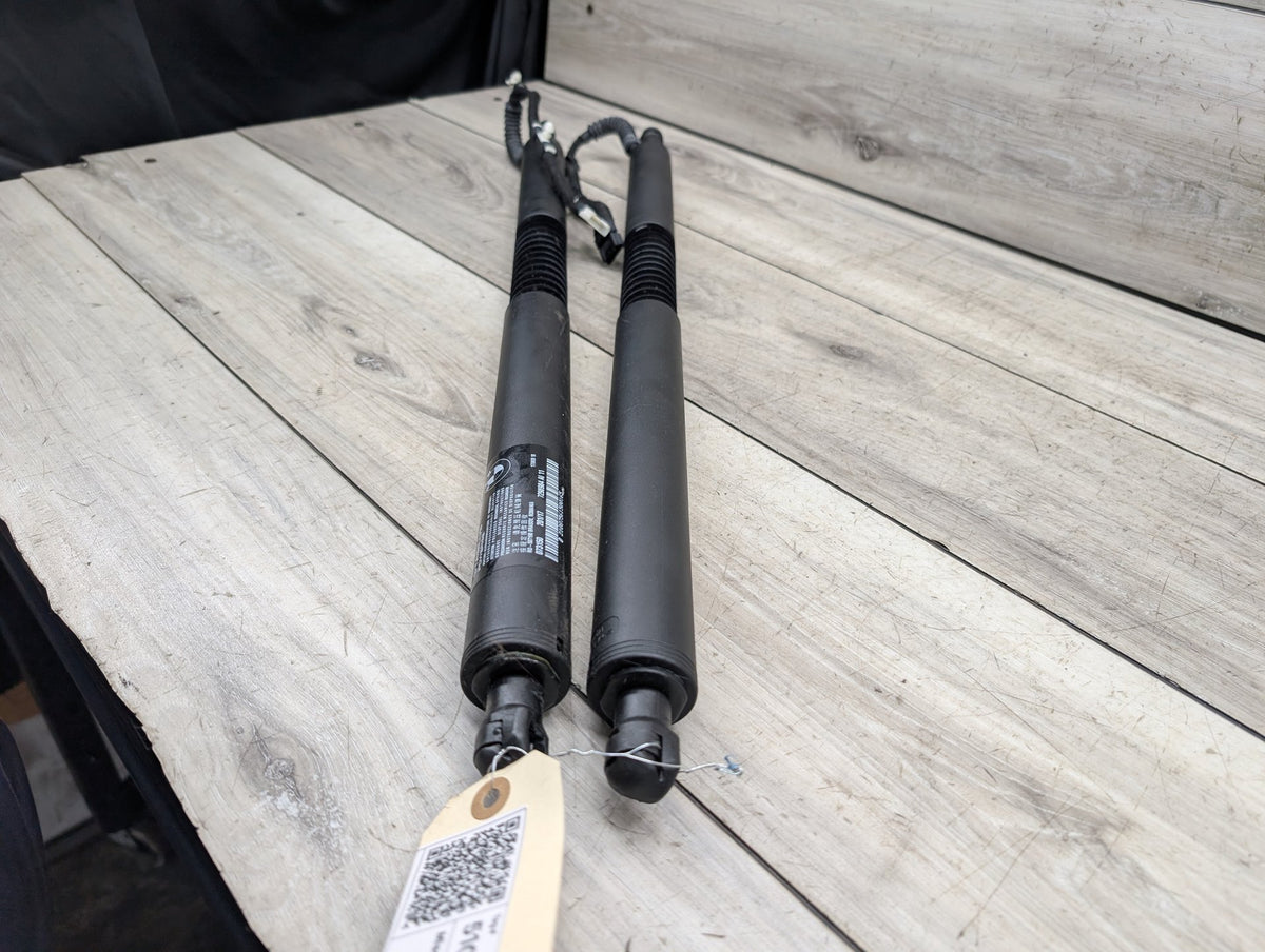 2014-2019 BMW 340 F34 Rear Left Right Liftgate Trunk Lid Strut Shock Supports SET 7298983 OEM