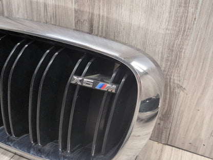 2015 - 2019 BMW X6 F86 Front Left Right Upper Bumper Cover Kidney Grilles SET 8056769 S63B44T2
