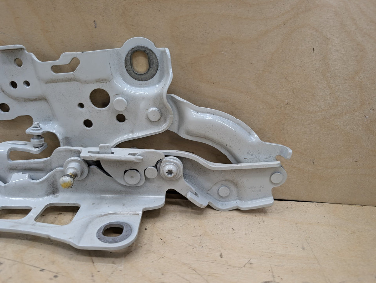 2019-2026 BMW 330i G20 Hood Bonnet Hinges SET 8494431 OEM