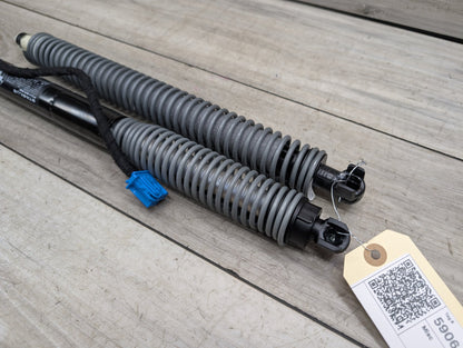 2016-2022 BMW 750Li G12 Rear Left Right Liftgate Trunk Lid Strut Shock Supports SET 7357109
