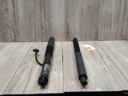 19-24 OEM BMW G01 X3 30 M40 Rear Left Right Trunk Tailgate Shock Hatch Strut