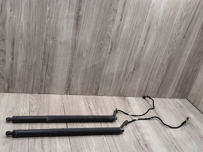 2015-2018 Audi Q3 8U Rear Left Right Liftgate Trunk Lid Strut Shock Supports SET 8U082785106S OEM