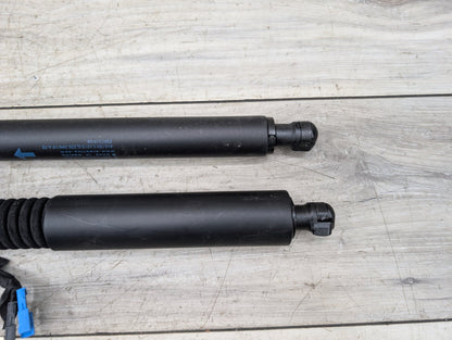 18-24 OEM BMW G01 F97 X3 X3M Rear Left Right Liftgate Shock Strut Lift Supports