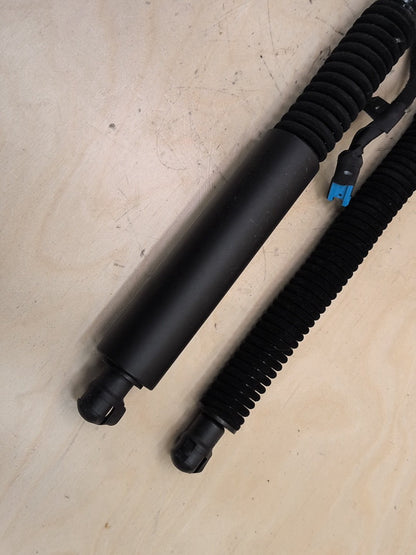 18-24 OEM BMW G01 F97 X3 X3M Rear Left Right Liftgate Shock Strut Lift Supports