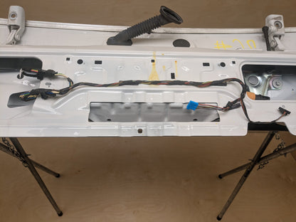19-25 OEM BMW G05 G07 X5 X7 Rear Lower Trunk Tailgate Door Panel Deck Lid White