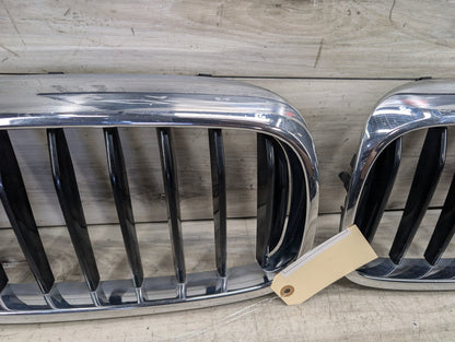 17-20 OEM BMW G30 530 540 Front Bumper Upper Kidney Grille Pair SET