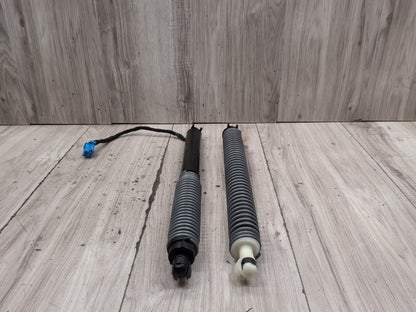 2016-2019 BMW 740Li G12 Liftgate Trunk Lid Strut Shock Supports SET 8737930 OEM