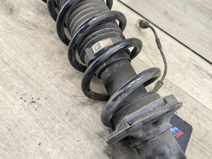 17-23 OEM BMW G30 M550 Rear Right Passenger Side Spring Strut Shock Absorber VDC
