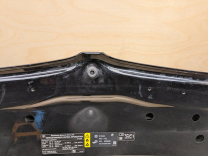 2019 - 2020 BMW 330i G20 Hood Bonnet Shell Panel 8494446 B46B20O1