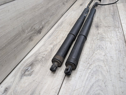 OEM BMW F15 F85 X5 X5M REAR Left Right Trunk Tailgate Shock Hatch Strut PAIR