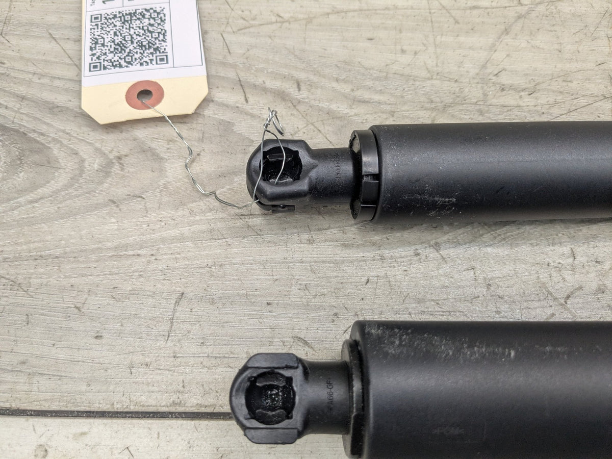 2018-2023 BMW X3 G01 Rear Left Right Liftgate Trunk Lid Strut Shock Supports SET 7397319 OEM