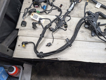 2018 - 2024 BMW X3 G01 Engine Motor Transmission Wiring Wire Harness SET 8664887 B58B30O1