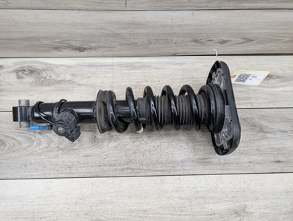 19-23 OEM BMW G05 X5 40iX 50iX AWD Rear Right Passenger Strut Shock Absorber VDC