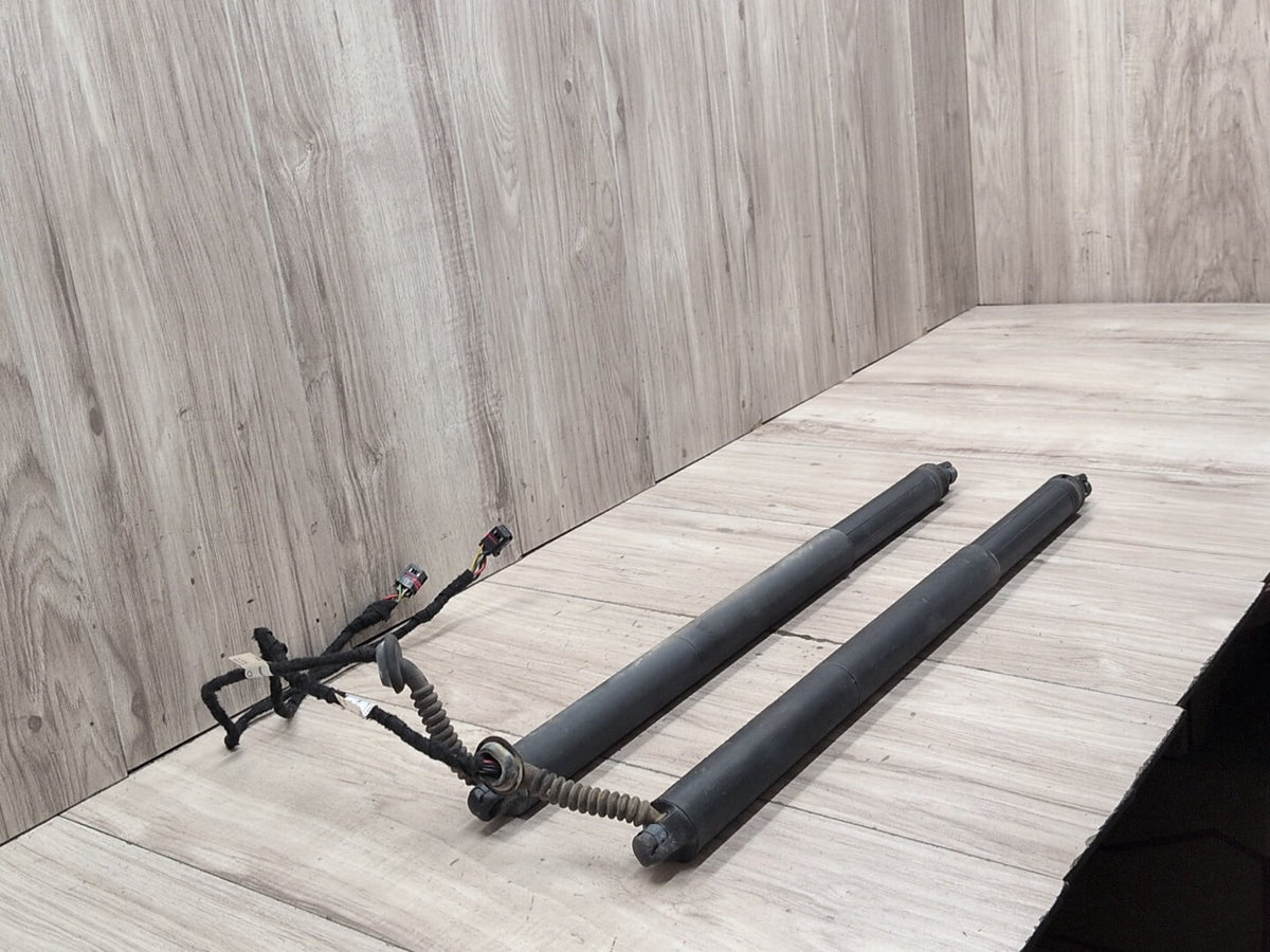 2015-2018 Audi Q3 8U Rear Left Right Liftgate Trunk Lid Strut Shock Supports SET 8U082785106S OEM