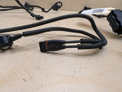 OEM BMW F10* 535 F15 F16 F25 F26 X3 X5 Engine N55 Wiring Wire Harness Module 2