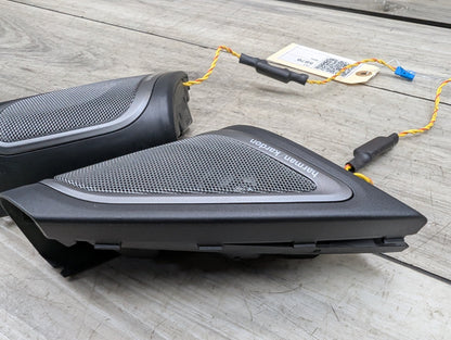 2016-2022 BMW 750Li G12 Speakers SET 2582485 OEM