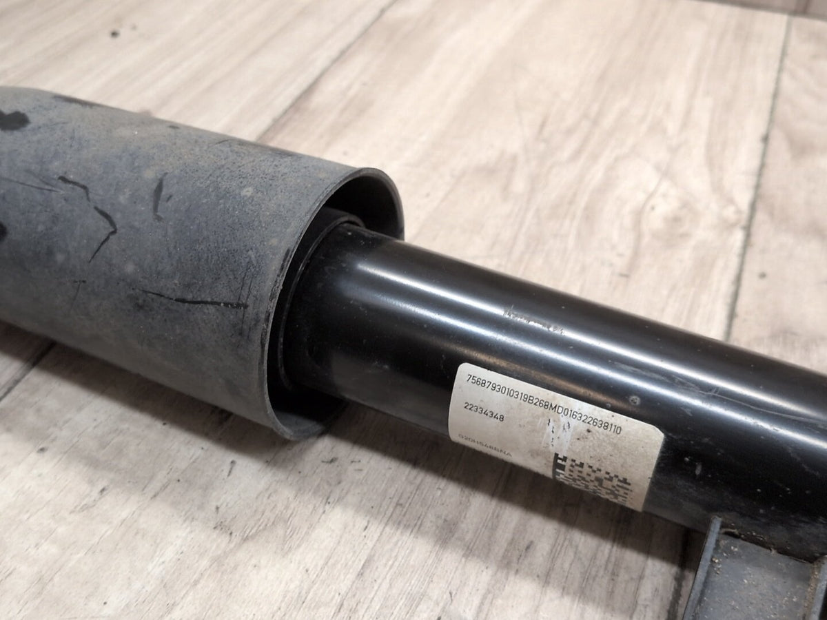 2019-2026 BMW 330i G20 Rear Left Right Spring Strut Shock Absorbers SET 2233434