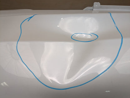 19-25 OEM BMW G05 G07 X5 X7 Rear Lower Trunk Tailgate Door Panel Deck Lid White