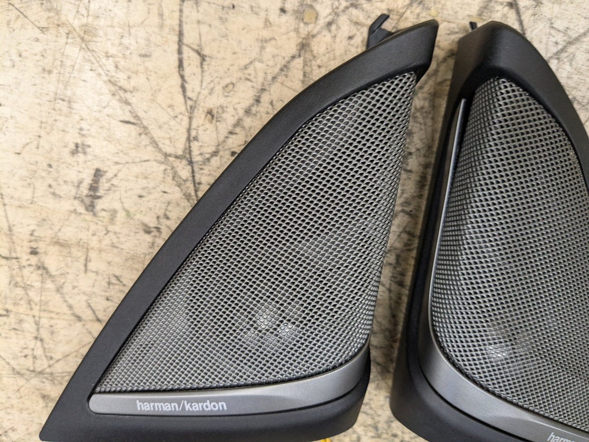 2018-2023 BMW M550i G30 Front Left Right Door Triangle Speaker 9184794